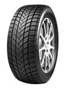 245/45R18 100H MASTERSTEEL WINTPL1 XL